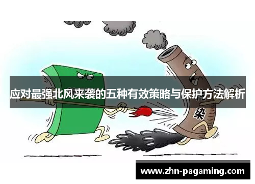 应对最强北风来袭的五种有效策略与保护方法解析