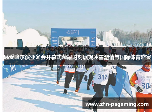 感受哈尔滨亚冬会开幕式荣耀时刻展现冰雪激情与国际体育盛宴