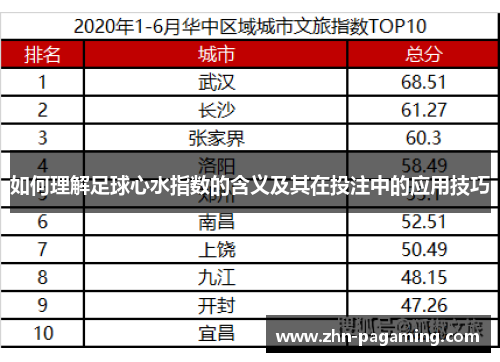 如何理解足球心水指数的含义及其在投注中的应用技巧