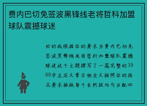 费内巴切免签波黑锋线老将哲科加盟球队震撼球迷